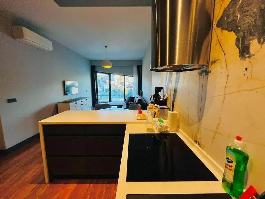 Modern Apartment In The Center اسطنبول